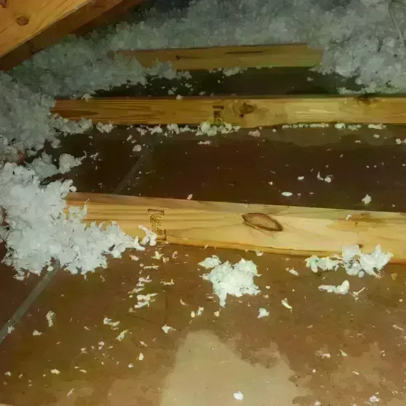 Attic Water Damage in Waterville, WA