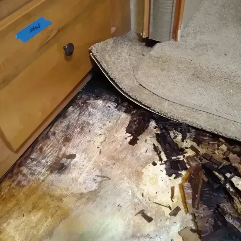 Wood Floor Water Damage in Waterville, WA